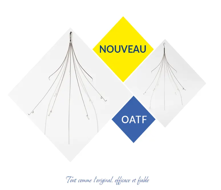Frameworks